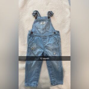 OshKosh B'gosh Light Blue Overalls with Floral Embroidery